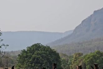 ANTI NAXAL OPERATION