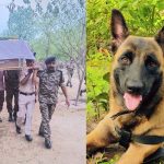CRPF dog martyr