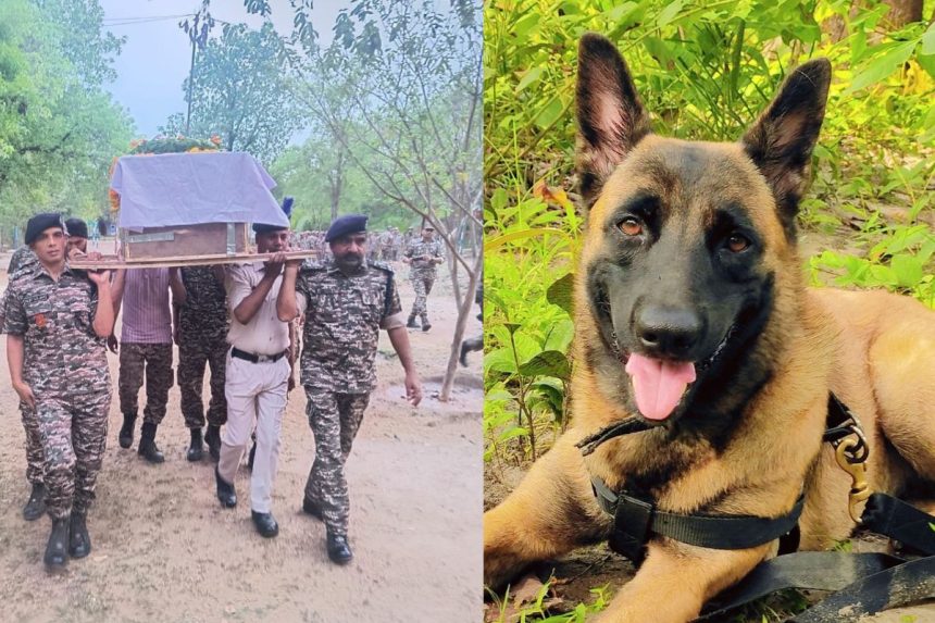 CRPF dog martyr