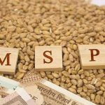 msp