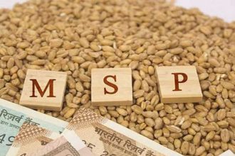msp