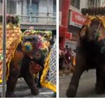 Ahmedabad Jagannath Yatra