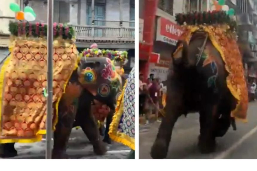 Ahmedabad Jagannath Yatra