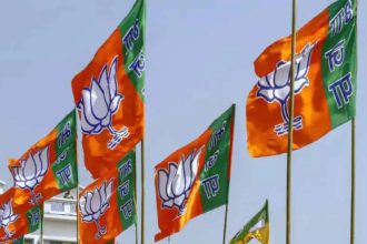 CG BJP campaign