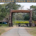 Karnataka Tiger Reserve