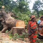 Villagers protest against deforestation