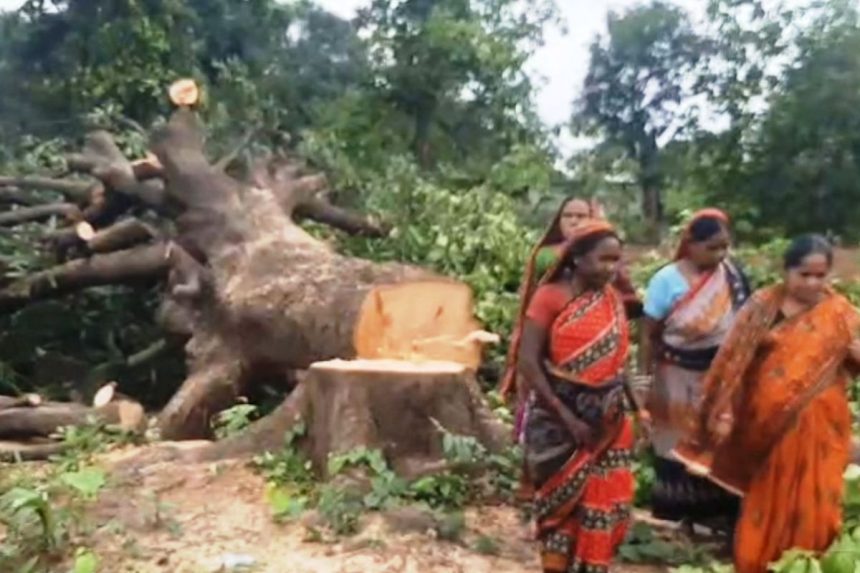 Villagers protest against deforestation