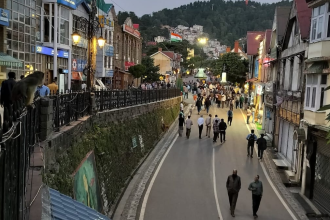 shimla paan