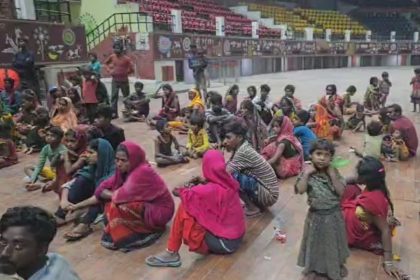 Raipur Mushroom Factory News