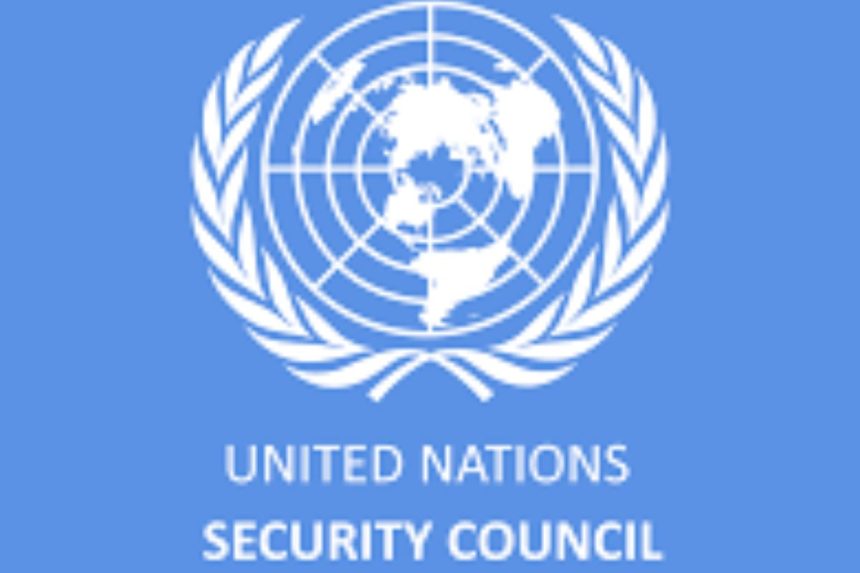 UN Security Council report