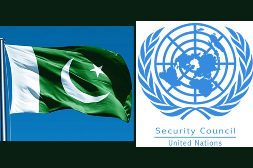 United Nations Security Council