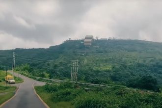Bailadila Forest