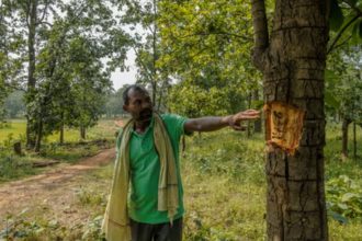 Hasdeo Forest