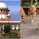 SC ON DOG CASES