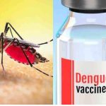 dengue vaccine