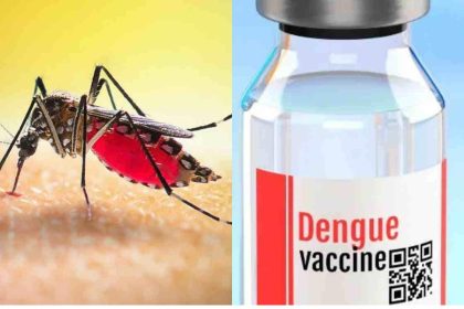 dengue vaccine