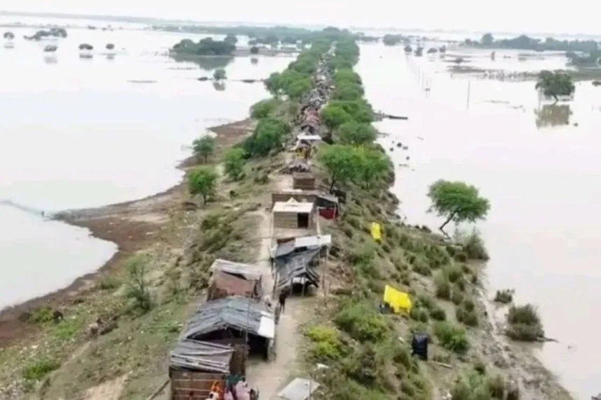 bihar flood