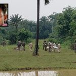 surya hansda encounter