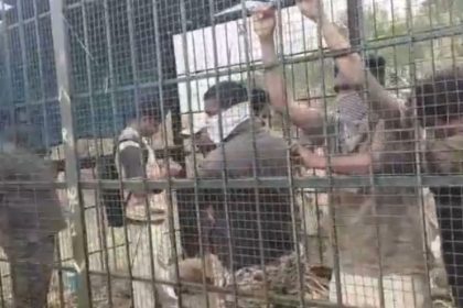 Bandipur Tiger Reserve