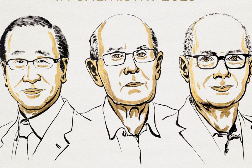 2025 Chemistry Nobel