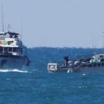 Bangladesh Hilsa Fish