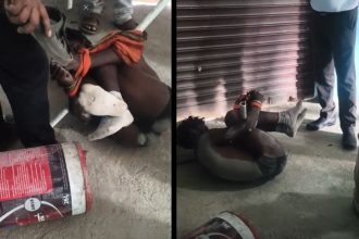 Crusher operators gundaagardee