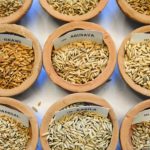 International Seed Treaty