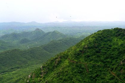Aravalli Hills