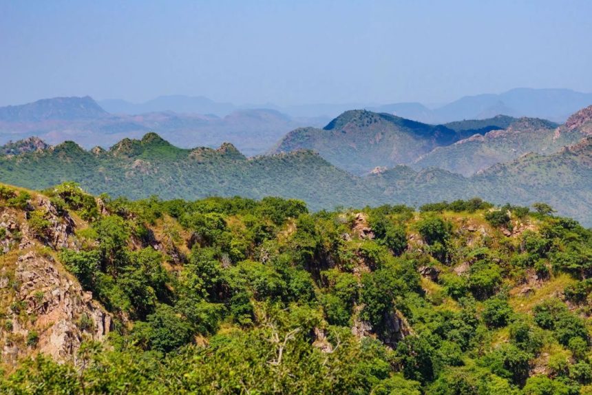 save aravali movement