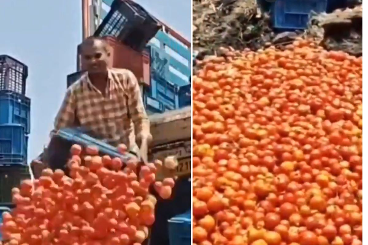 Middle East tensions impact tomatoes